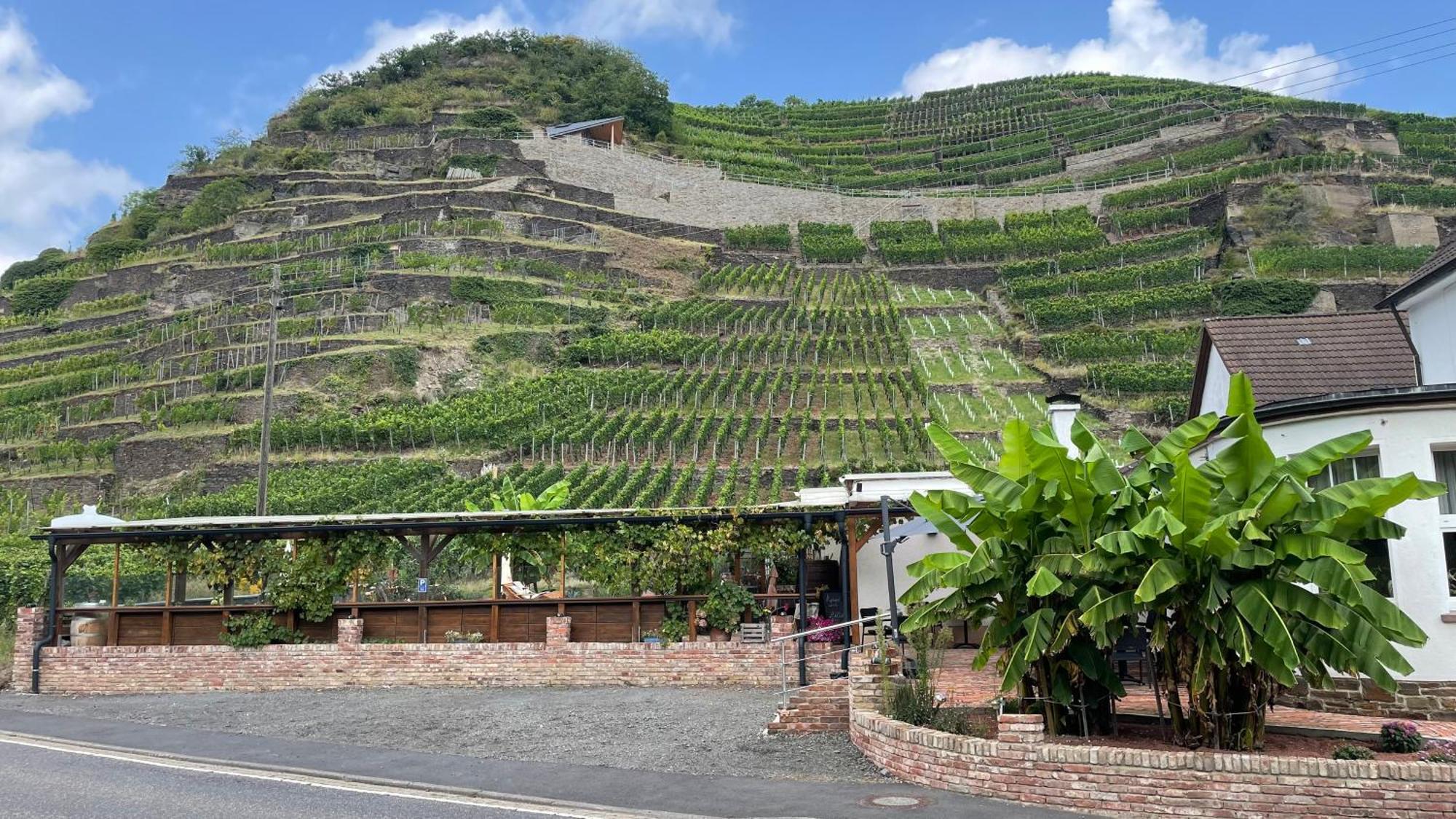 Winzerschenke Hotel Bad Neuenahr-Ahrweiler Exterior photo